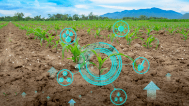 inteligencia artificial agricultura