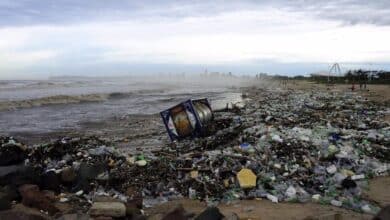 La deteccion de plastico en los oceanos se facilita gracias