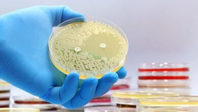 Descubrimiento de Primeros Antibioticos Nuevos en 60 Anos IA Impulsa