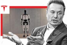 Elon Musk respalda a sus robots luego del ataque en