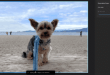 Microsoft integra inteligencia artificial en esta popular aplicacion de fotografia