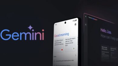 Razones para no compartir informacion privada con Gemini el chatbot