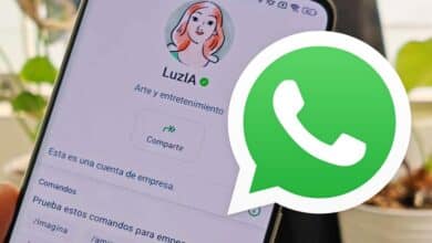 Trucos de WhatsApp Como chatear con LuzIA Google Bard Carina