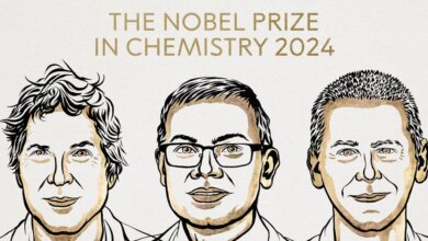 Premio Nobel de Quimica 2024 para la inteligencia artificial de